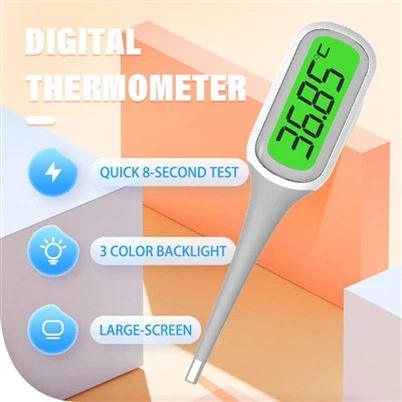 Termòmetre digital Jumbo LCD